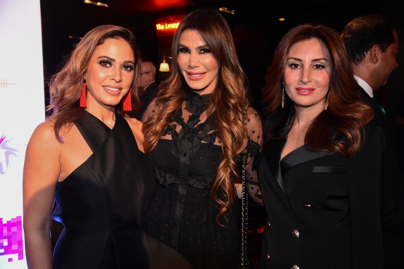 Launching Lebanon Aerobatic Challenge 